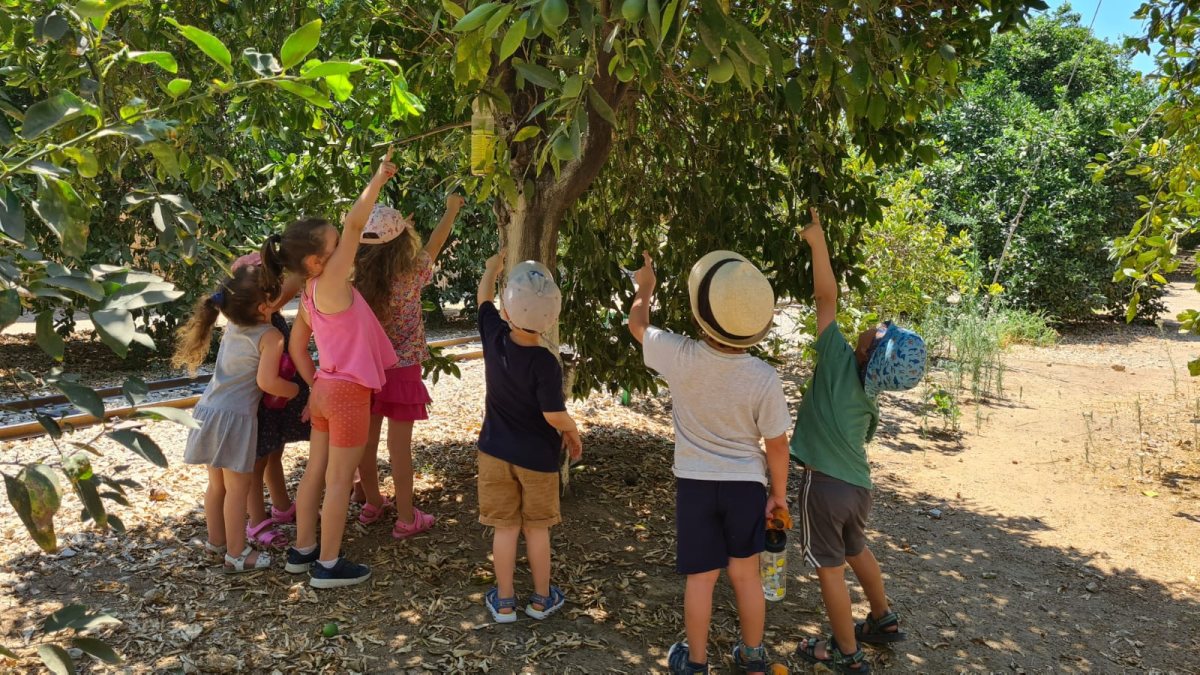 אתר הפרדסנות רחובות  קרדיט צבי הנרי כהן