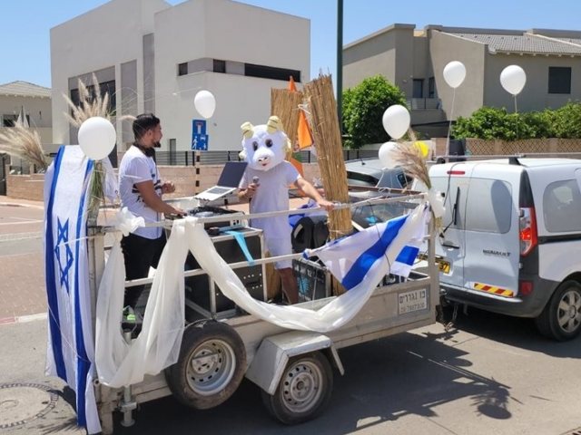 דוברות