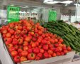מחירי העגבניות והמלפפונים