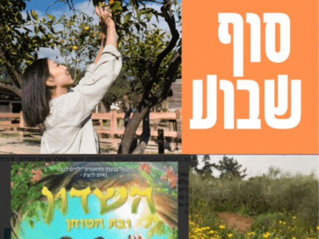 סוף שבוע בנס ציונה בת הטוחן  לירז אלון  