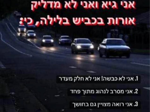 גיא פינס