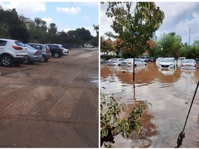 צילום אורן שלום ועיריית נס ציונה 