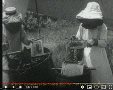 צילום  מסך מתוך youtube דבש בנס ציונה 1913