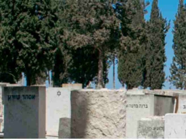 בית העלמין המקומי. באדיבות חברה קדישא נס ציונה