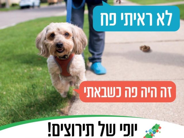 עיריית נס ציונה