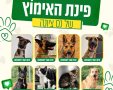 דוברות עיריית נס ציונה
