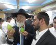 שלא תהא מצווה הבאה בעבירה: אזהרת יו"ר המועה"ד לבוני הסוכות