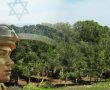 קק״ל משיקה את 'דרך הגיבורות' בהשתתפות נשים מובילות שהצילו חיים במהלך השבת השחורה