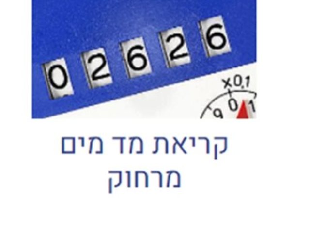 מי ציונה
