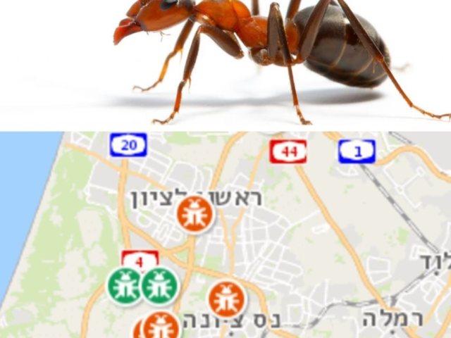 הגנת הסביבה