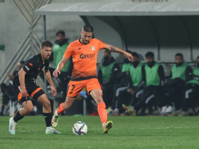 דור כוכב צילום סקציה נס ציונה