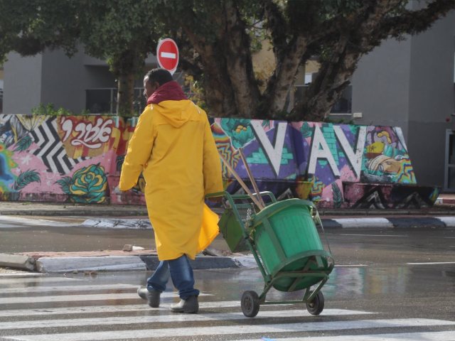 צילום: שמואל סרדינס