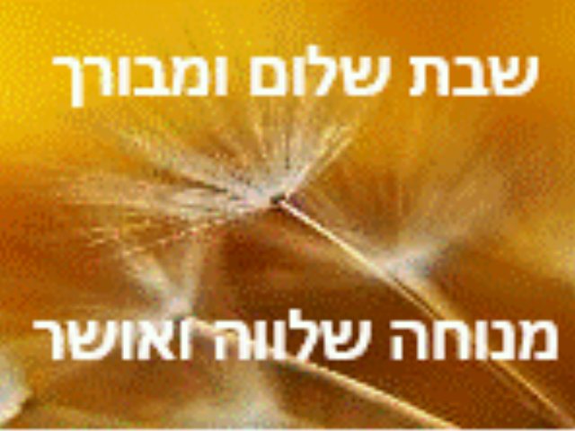 תמונות שבת שלום להורדה אתר הברכות 
