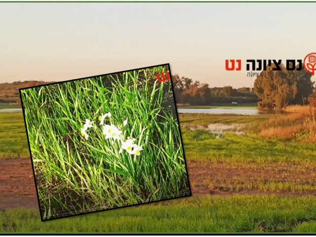 צילום עצמי 