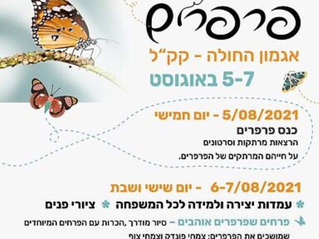 מקור סקופר 