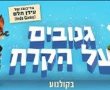 גנובים על הקרח: סרט לילדים שבת בבוקר 10/07 במשכן לאומנויות נס ציונה