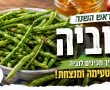 השורשים מטפסים לגובה והטעם נשאר בלב: המסע שלי בחזרה אל סיר הלובייה של סבא וראש השנה העיראקי