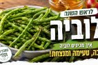 השורשים מטפסים לגובה והטעם נשאר בלב: המסע שלי בחזרה אל סיר הלובייה של סבא וראש השנה העיראקי
