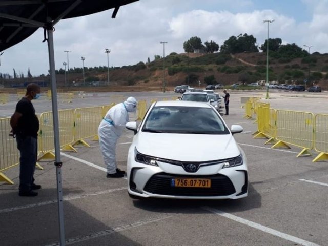 דוברות נ"צ