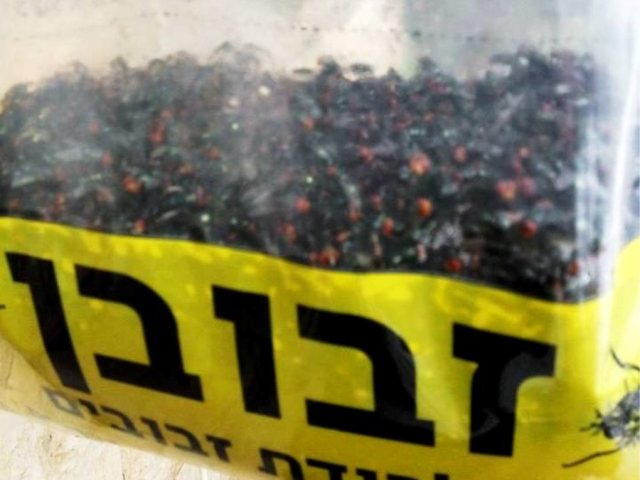 צילום ארכיון מקבוצת "כל מה שמפריע לי באשדוד"