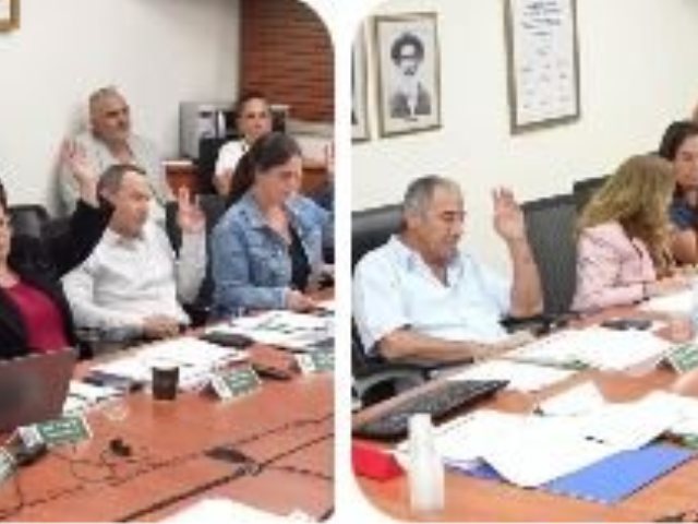 עיבוד מתמונות ארכיון. ההצבעה הצפויה מראש... 