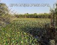 טיול קסום בלב הטבע גילוי מחדש של מקורות הירקון, עין אפק ומבצר אנטיפטרוס ובריכת הנופרים