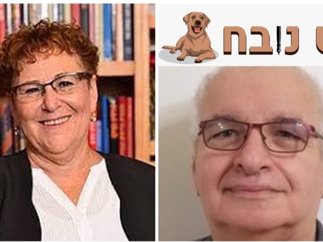 פרטי ויקיפדיה