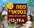 תמונה ללא תיאור