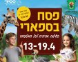 ספארי רמת גן חול המועד פסח 2025 שעות פעילות מבצעים והטבות צילום דוברות הספארי באמצעות הנקודה 