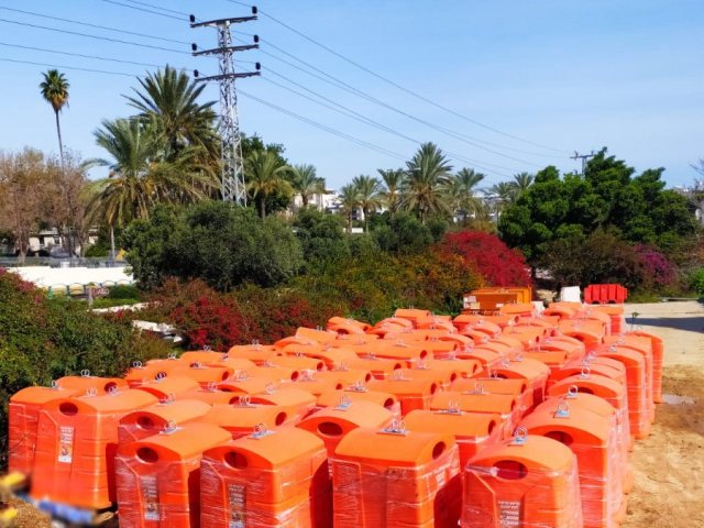 דוברות נ"צ