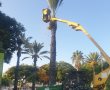 רוצים סכך חינם? אלו נקודות החלוקה