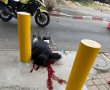 ניסיון פיגוע במחסום המנהרות: מחבל שלף סכין וחוסל