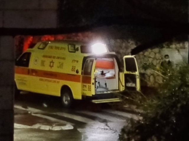 צילום מירה פוקס 