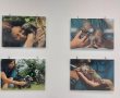"פרוייקט חיים" תערוכת צילומים חדשה של עינת מטלון בית האזרח הוותיק בנס ציונה 