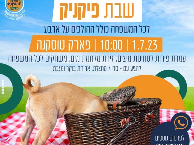 פיקניק קהילתי נס ציונה ציונה מה עושים בשבת בעיר