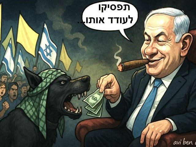 אבי בן דוד + צ'אט גפט