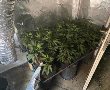 רמלה: השריפה בדירה חשפה מעבדת הידרו לגידול קנאביס