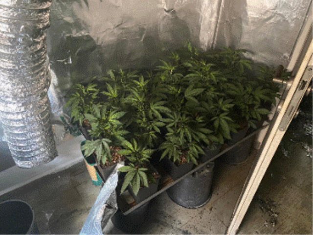 מעבדת הידרו רמלה צילום דוברות המשטרה 