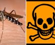 שוב התגלו בישראל יתושים נגועים בנגיף קדחת מערב הנילוס המסוכן ! 