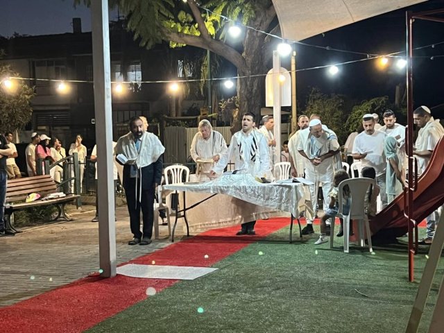 מיטל ג'ורג'יה נוימן