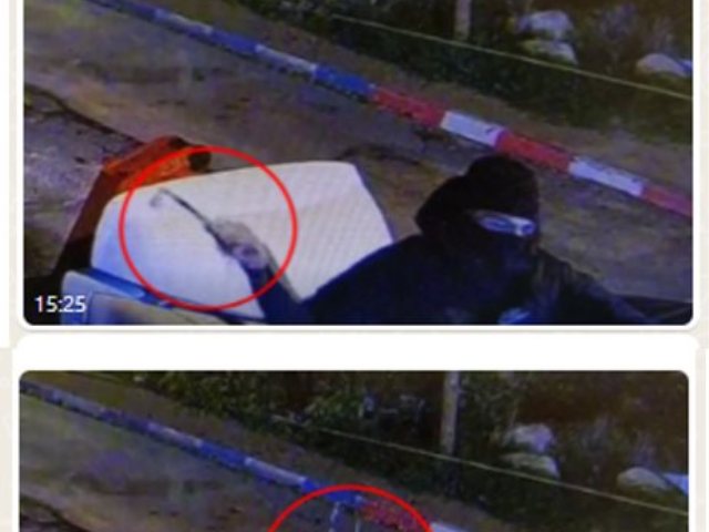 גרימת נזק למצלמות משטרה ועירייה ברמלה צילום דוברות המשטרה 