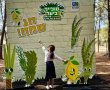 מה עושים עם הילדים בסוכות 2026? כל האירועים החינמיים של קק"ל ביער