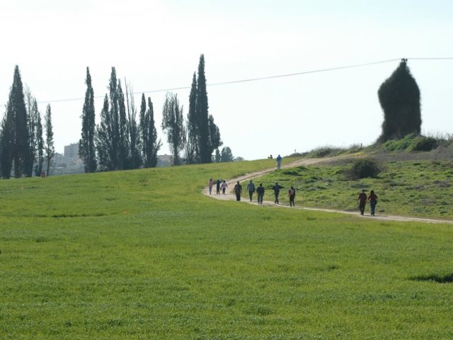 פורום הגבעות 