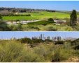 דדוברות ועדת התכנון