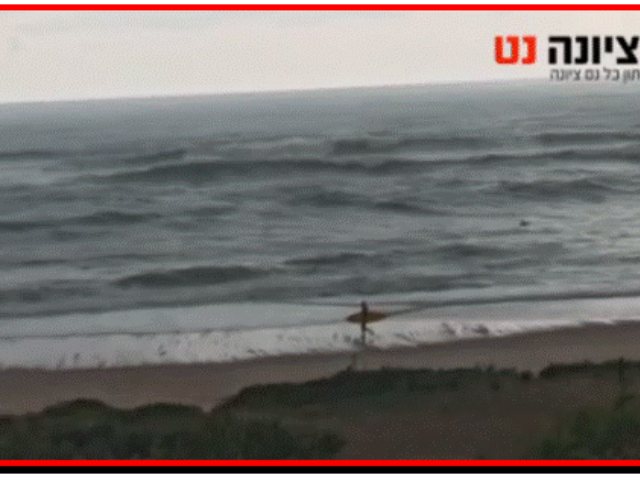 כל נס ציונה נט חוף פלמחים 