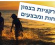 אטרקציות בצפון הנחות ומבצעים לחופש הגדול 2021