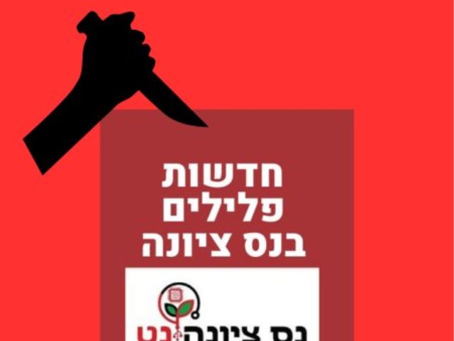 אירוע דקירה בנס ציונה חדשות פלילים ומשטרה בנס ציונה 