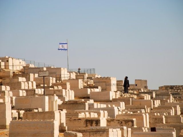 קרדיט-Photo by Snowscat on Unsplash