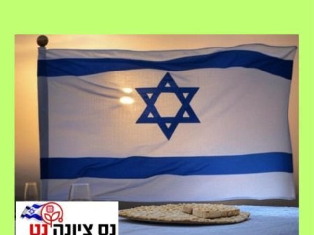 מקומון נס ציונה נט