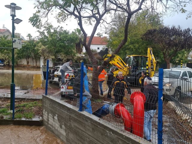 דוברות נ.צ.